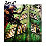 Day Seven: Healing Green
